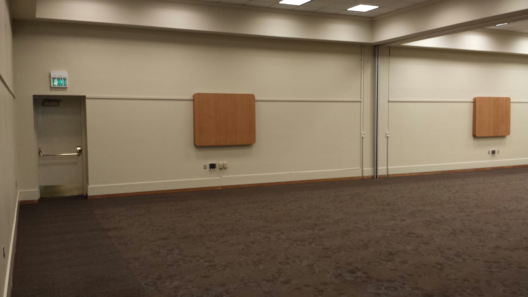 Pistache Ginkgo Front